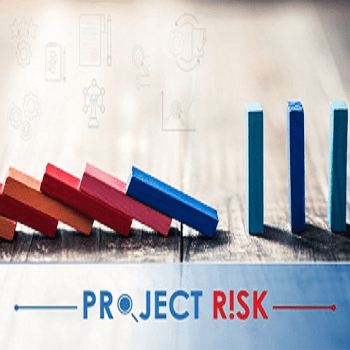 A Dynamic Approach in Managing Project Risks